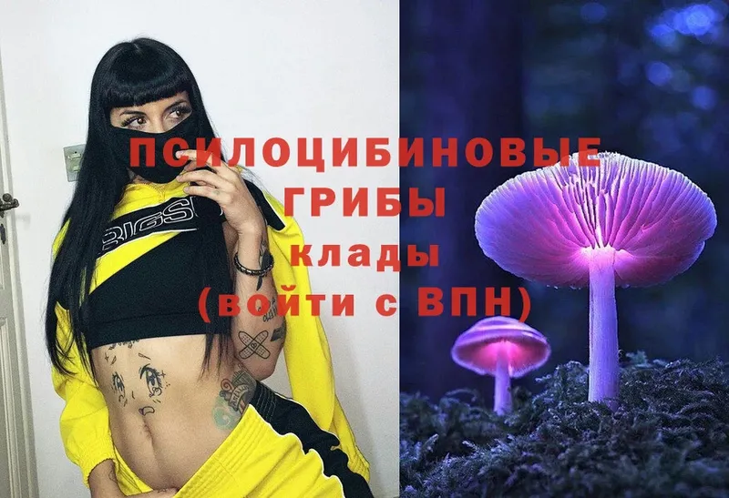 Псилоцибиновые грибы Magic Shrooms  Шахты 